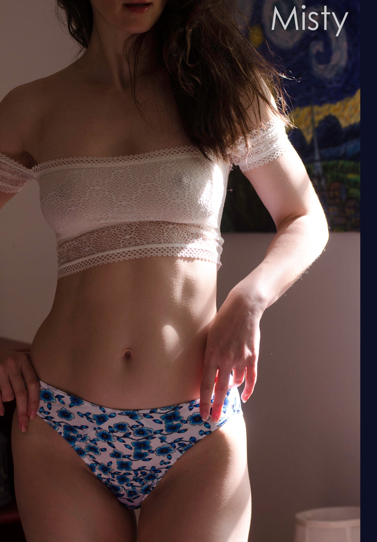 Hipster Panty, Fancy Satin Blue Flowers